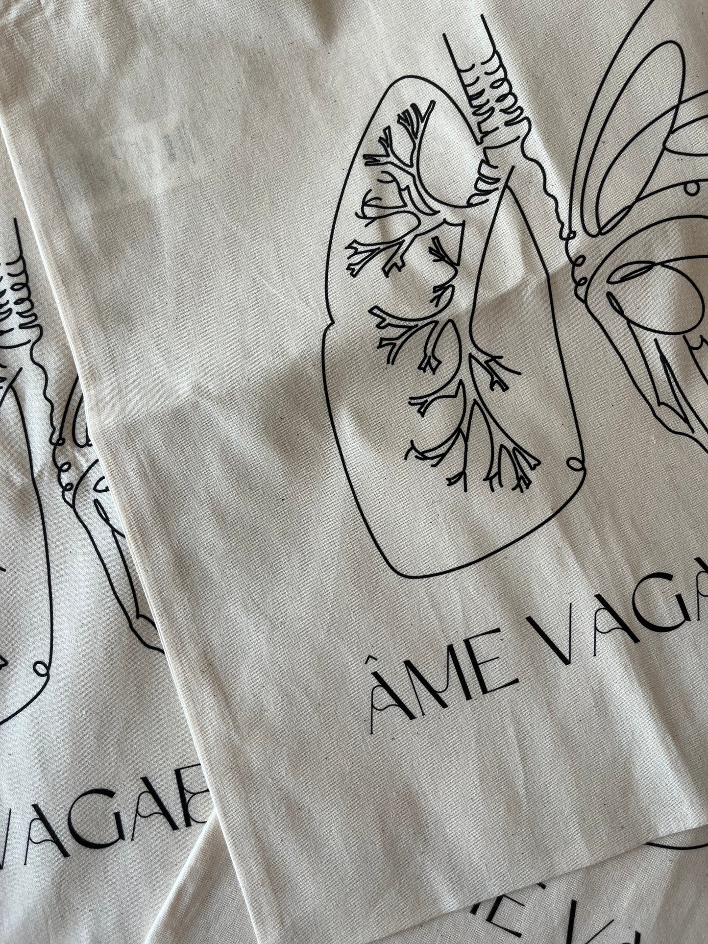 Les vagabonds : âme vagabonde 🫁🦋
