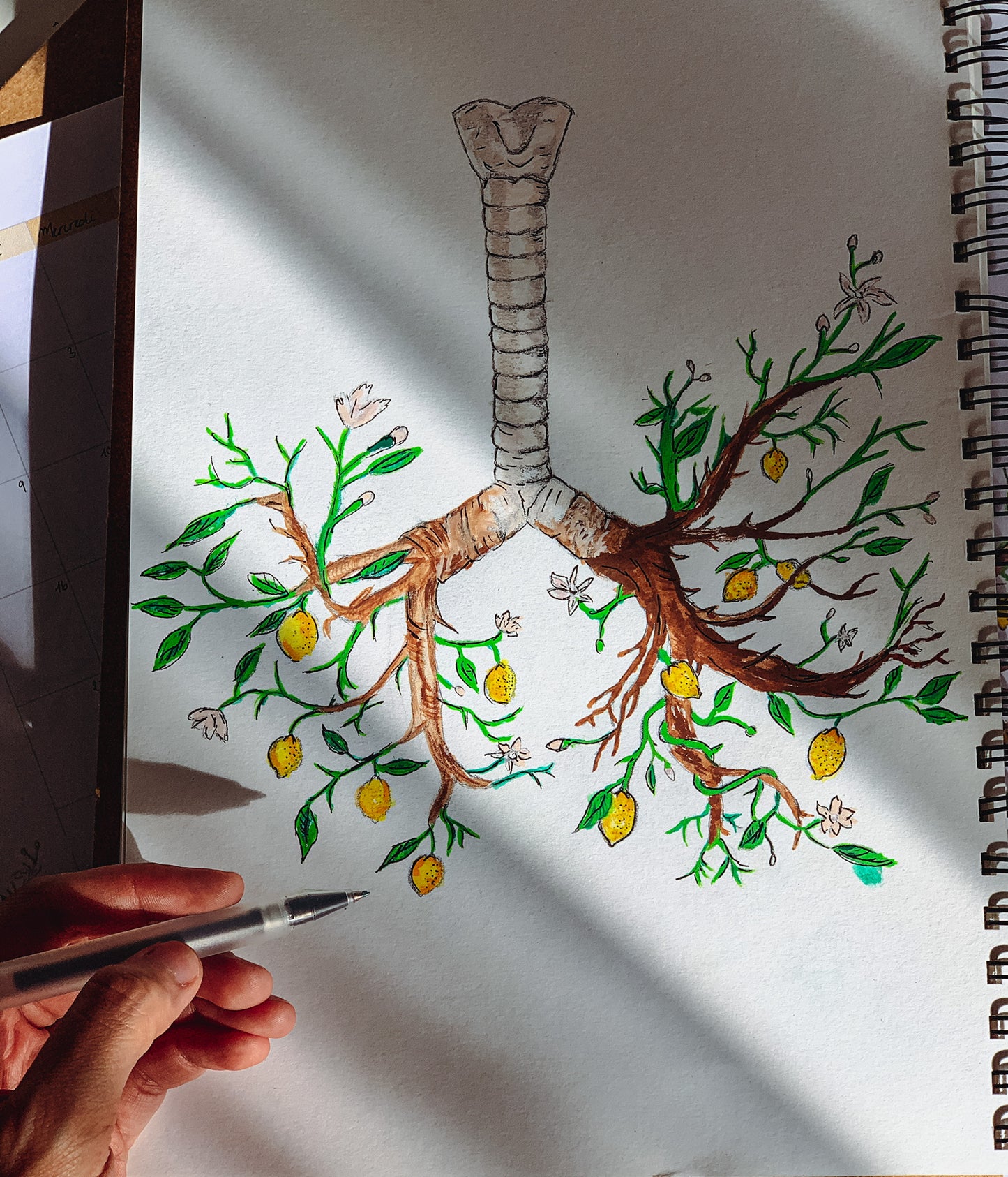 Carnet de notes - Notebook - Anatomie Poétique : La trachée 🫁