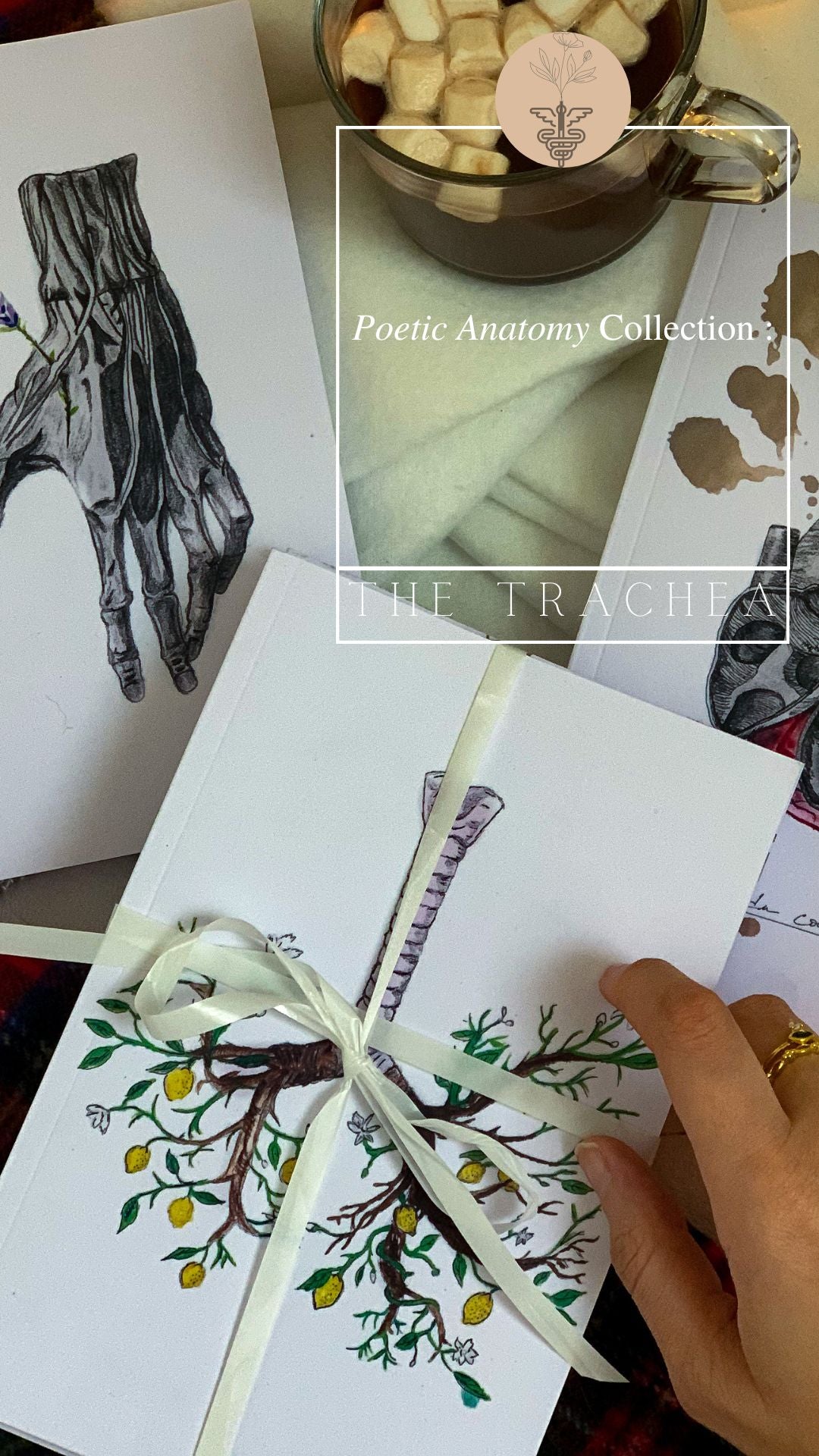 Carnet de notes - Notebook - Anatomie Poétique : La trachée 🫁