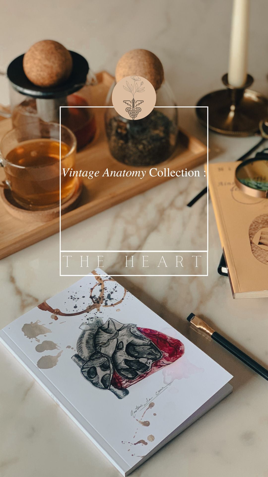 Carnet de notes - Notebook - Anatomie Vintage : Le Coeur 🫀