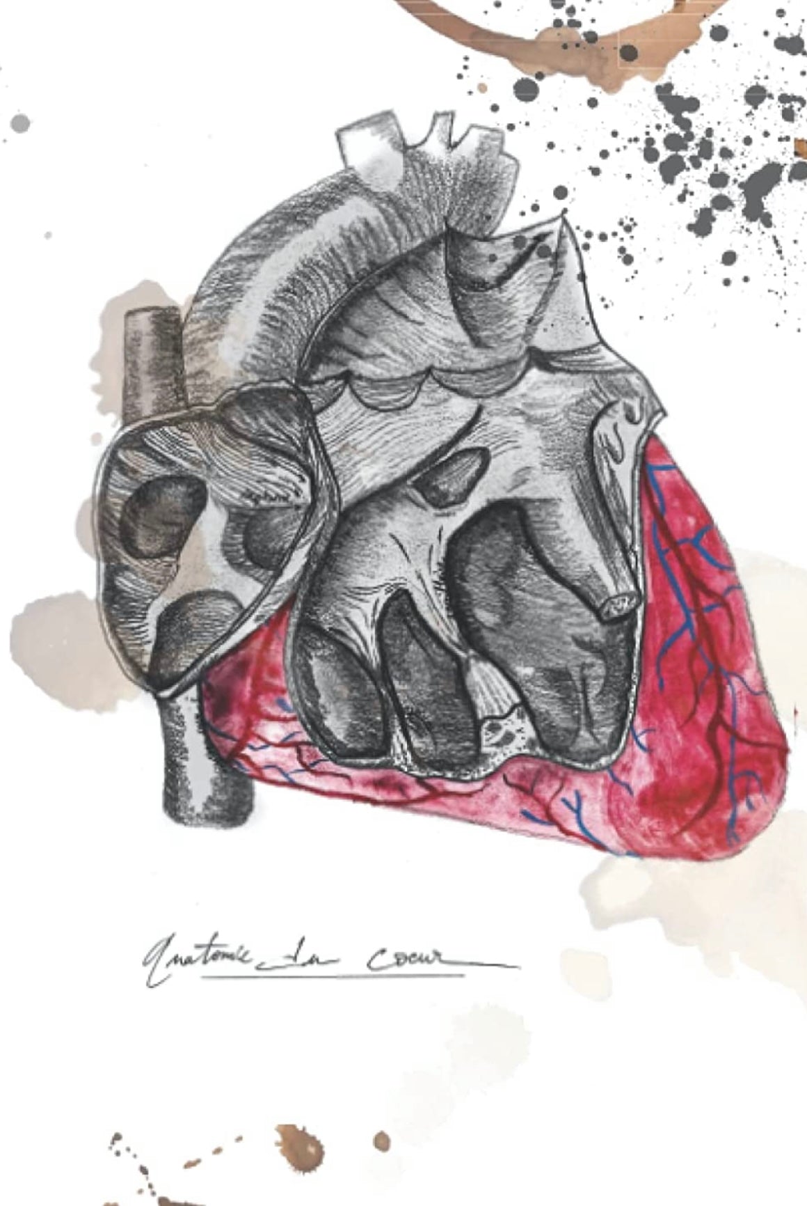Carnet de notes - Notebook - Anatomie Vintage : Le Coeur 🫀