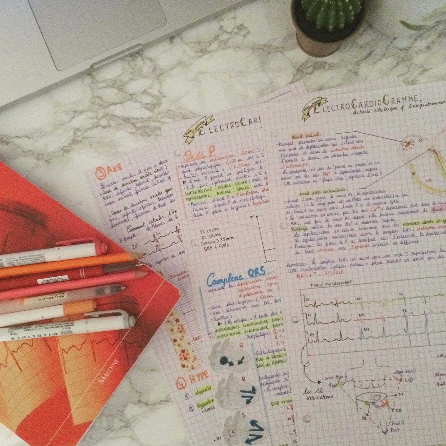 Fiches récapitulatives ECG