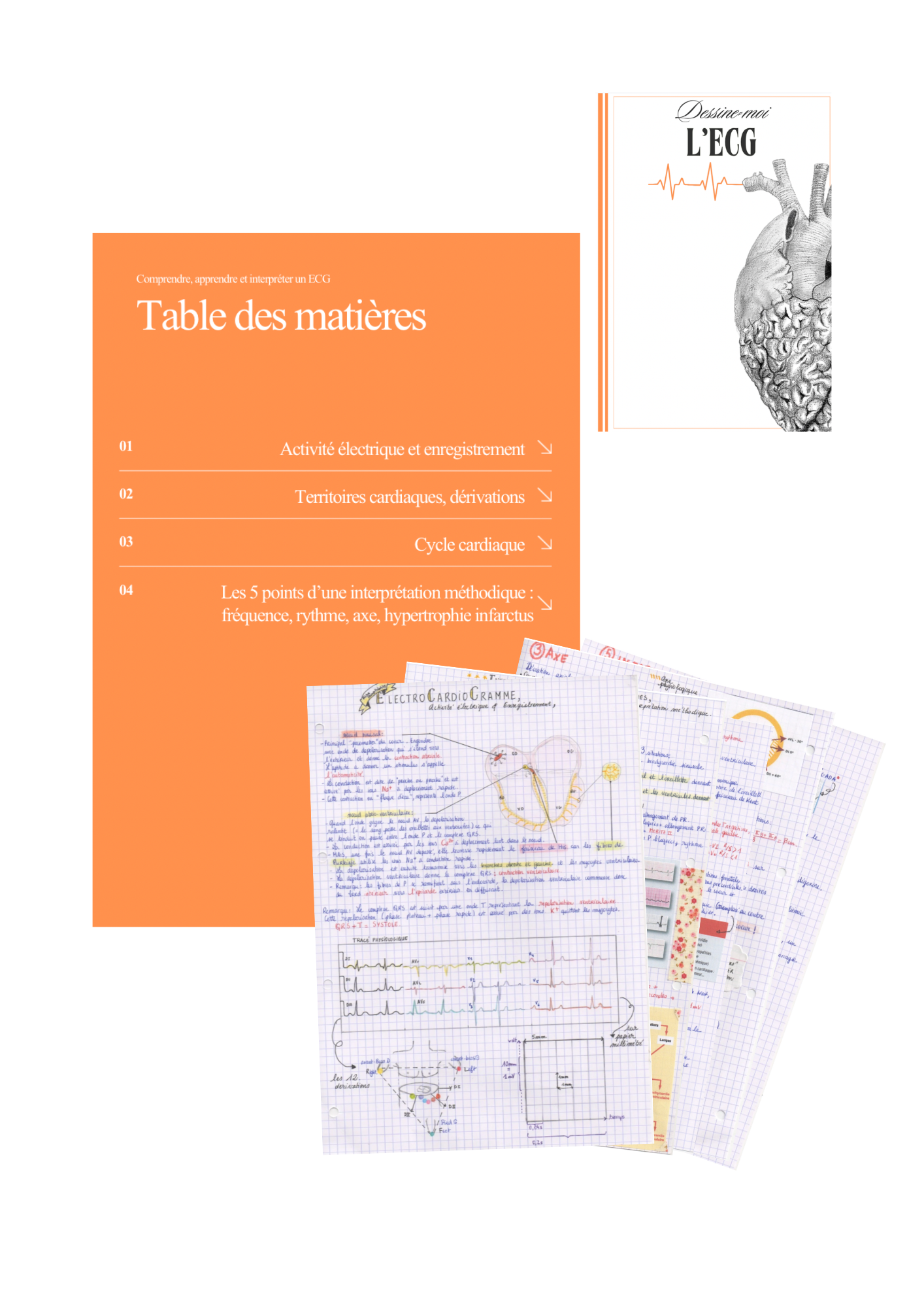 Dessine-moi l'ECG : comprendre, apprendre et interpréter un ECG - livret illustré 8 pages