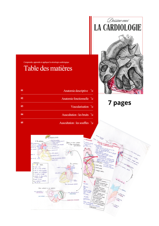 Dessine-moi la cardiologie : comprendre, apprendre et appliquer la sémiologie cardiaque - livret illustré 7 pages