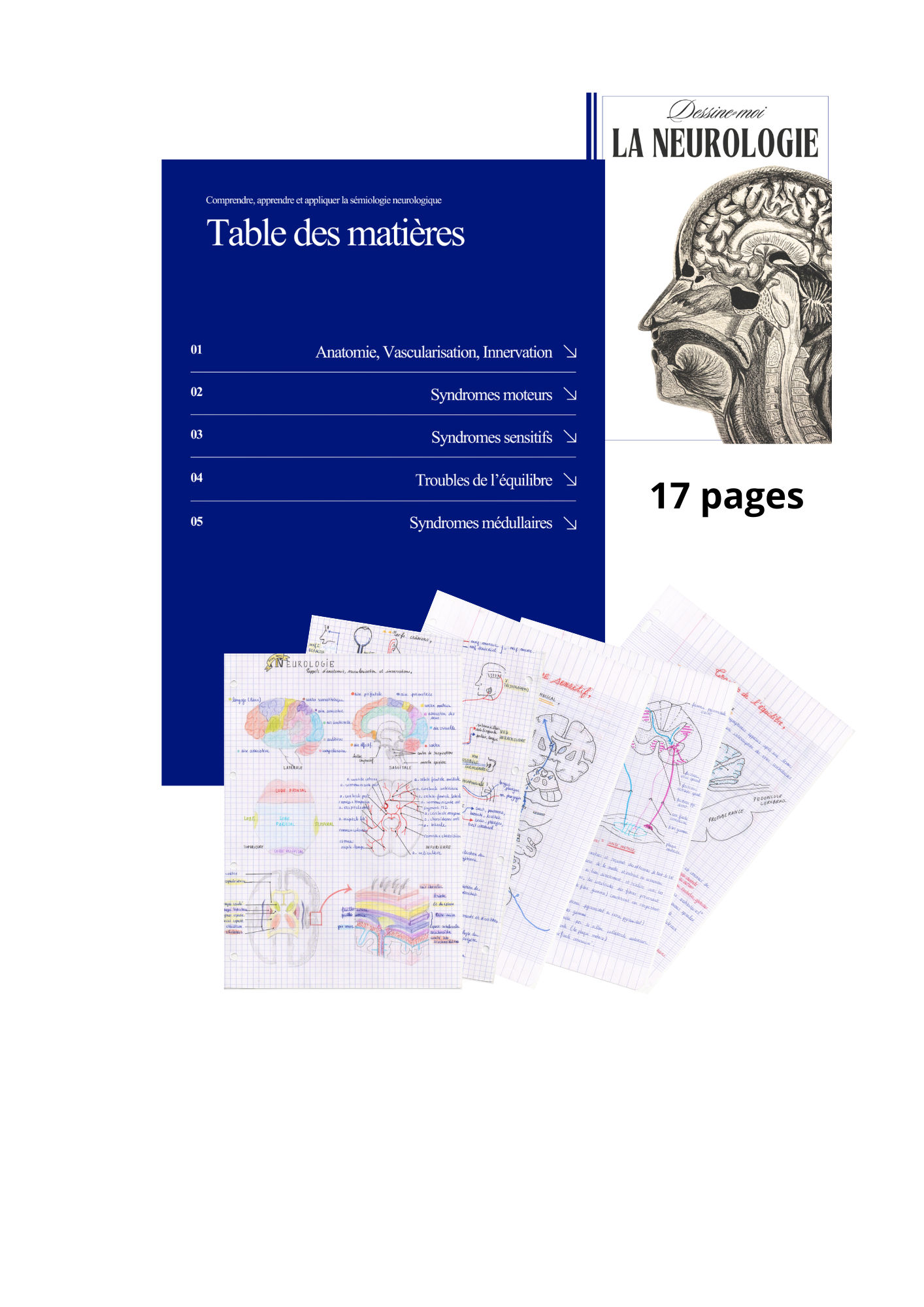 Dessine-moi la neurologie : comprendre, apprendre et appliquer la sémiologie neurologique - livret illustré 17 pages