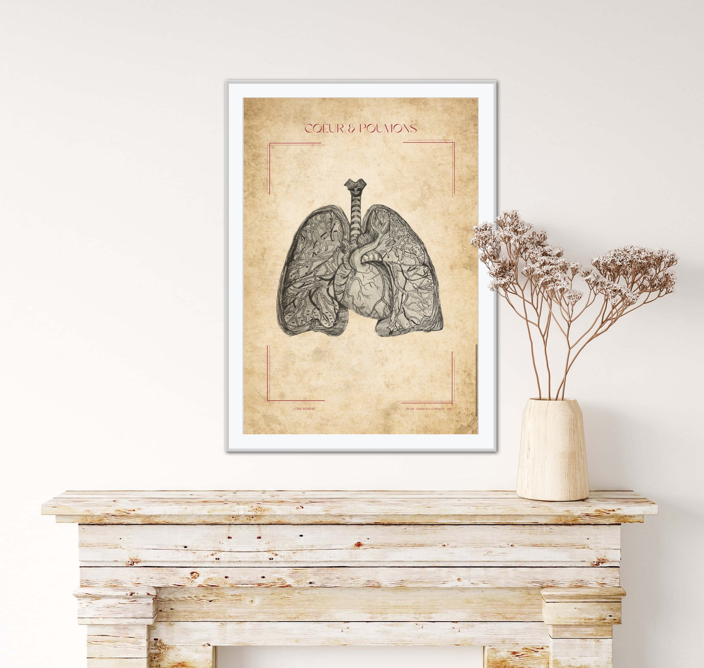 Poster : Cœur et poumon