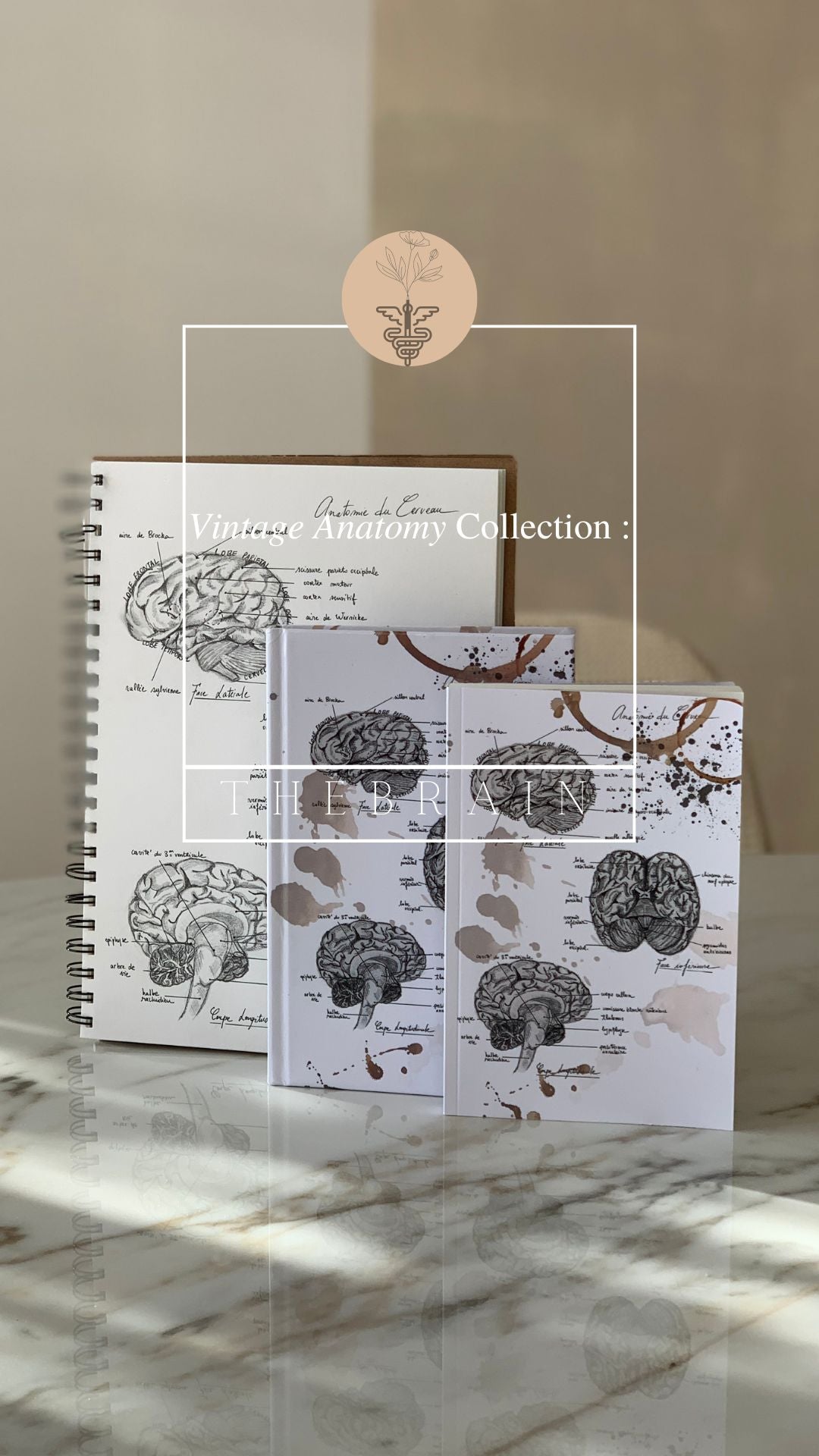 Carnet de notes - Notebook - Anatomie Vintage : Le Cerveau 🧠