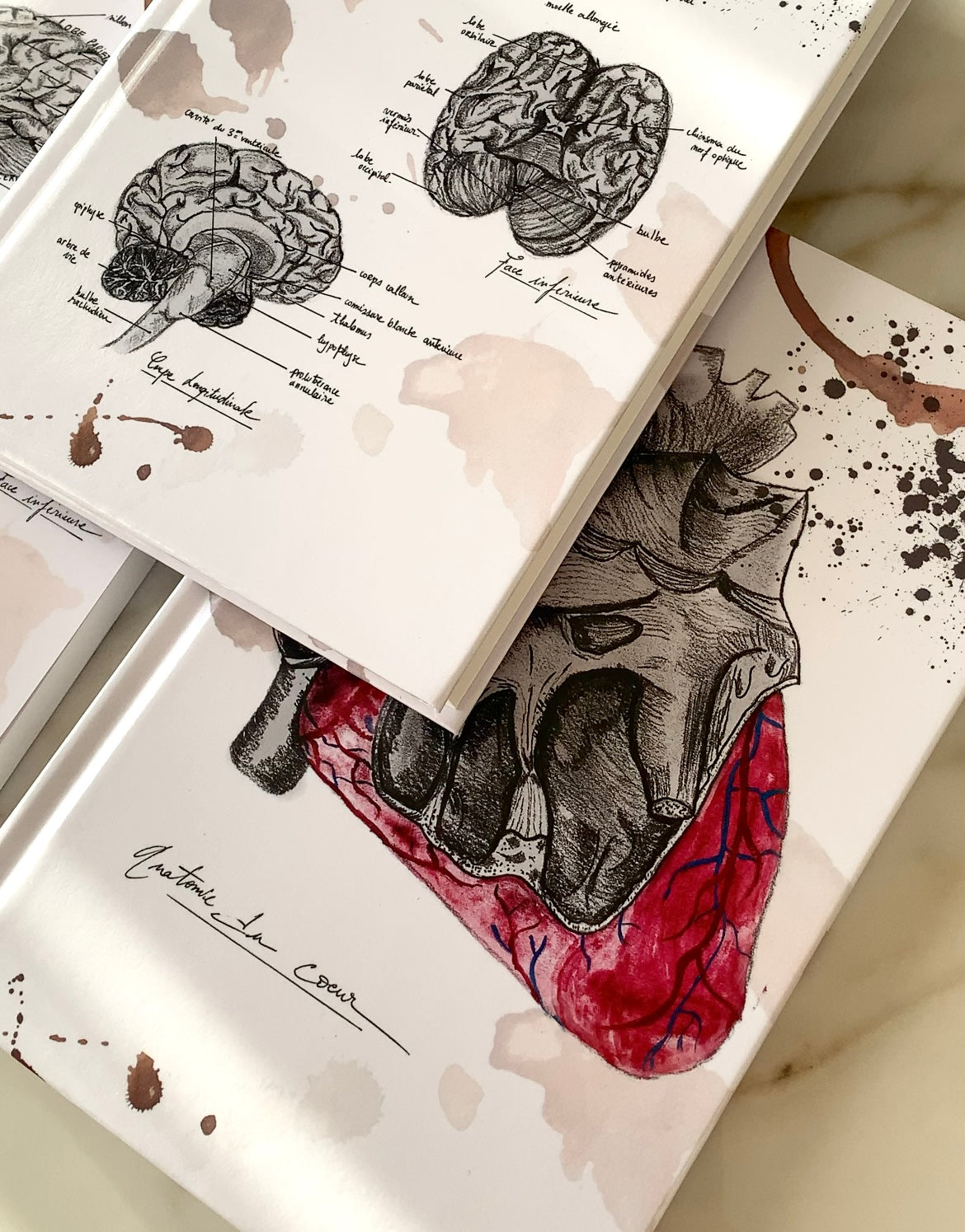Carnet de notes - Notebook - Anatomie Vintage : Le Coeur 🫀